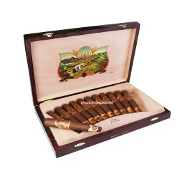 Charuto Oliva Serie V Perfecto 135th Anniversary Ed. Ltda - Caixa com 12