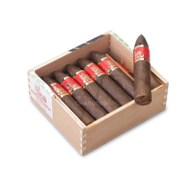 Charuto Perceverancia Petit Piramide Maduro - Caixa com 12