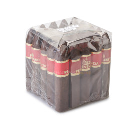 Charuto Perceverancia Petit Piramide Maduro - Maço com 25