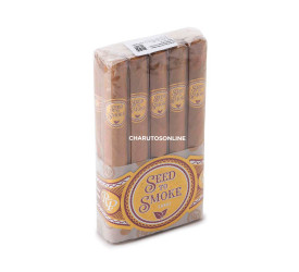 Charuto Rocky Patel Seed To Smoke Shade Churchill - Maço com 10