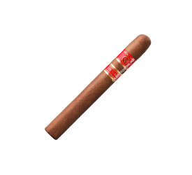 Charuto Rocky Patel Sungrown Toro - Unidade