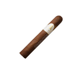 Charuto Davidoff Winston Churchill Robusto - Unidade