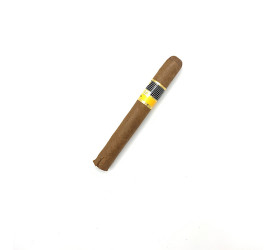 Charuto com Defeito - Cohiba Siglo II