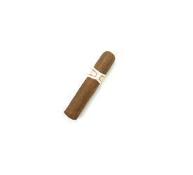 Charuto com Defeito - Hoyo De Monterrey Petit Robusto