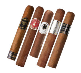 Kit Medium Fillers