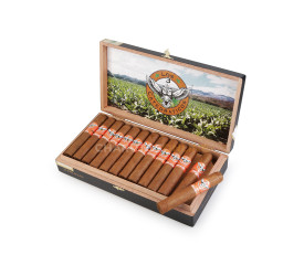 Charuto Los 3 Catedraticos Robusto Delicia - Caixa com 25