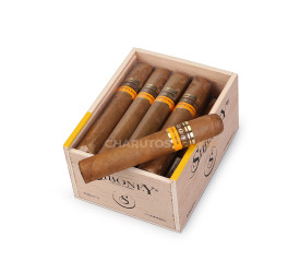 Charuto Siboney MF Robusto - Caixa com 15