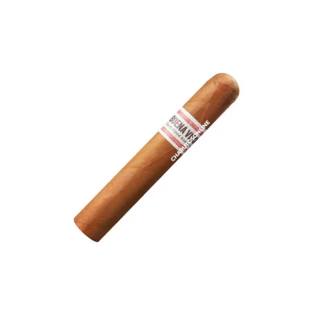 Charuto Buena Vista DFK Robusto - Unidade