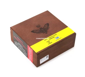 Caixa Vazia - Alec Bradley Magic Toast Robusto - Caixa com 24