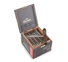 Charuto Balmoral Anejo XO Oscuro Rothschild Masivo - Caixa com 20