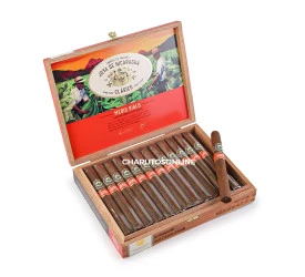 Charuto Joya de Nicaragua Clasico Medio Siglo Numero 6 - Caixa com 25