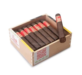 Charuto Perceverancia Petit Robusto Quadrado Maduro - Caixa com 16