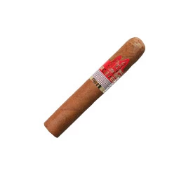 Charuto Perceverancia Premium Robusto - Unidade