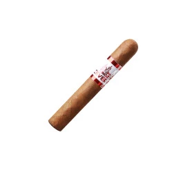 Charuto Perceverancia MF Brasil Robusto - Unidade