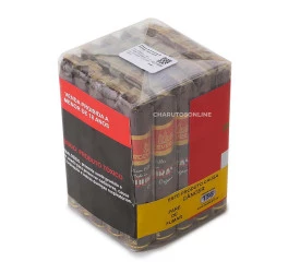 Charuto Perceverancia MF Robusto - Maço com 25