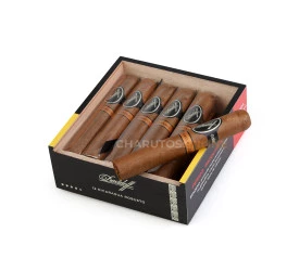 Charuto Davidoff Nicaragua Robusto - Caixa com 12