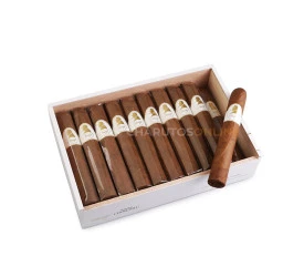 Charuto Davidoff Winston Churchill Robusto - Caixa com 20