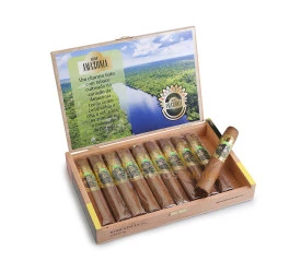 Charuto Grand Amazonia Robusto (Ring 52) - Caixa com 10