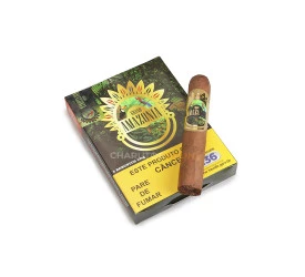 Charuto Grand Amazonia Robusto Ajubá (Ring 52) - Petaca com 5