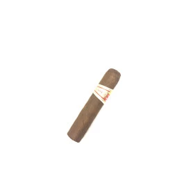Charuto com Defeito - Hoyo De Monterrey Petit Robusto