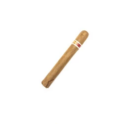 Charuto com Defeito - Partagas Mille Fleur