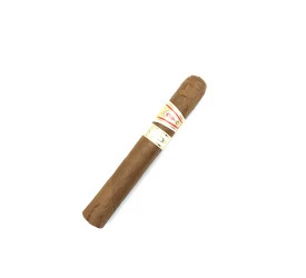 Charuto com Defeito - Hoyo De Monterrey Epicure Especial