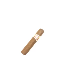 Charuto com Defeito - Hoyo De Monterrey Petit Robusto