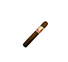 Charuto com Defeito - Hoyo De Monterrey Rio Seco