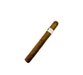 Charuto com Defeito - Jose L. Piedra Brevas