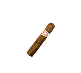 Charuto com Defeito - Hoyo De Monterrey Petit Robusto