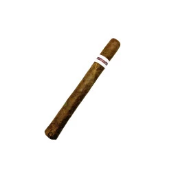 Charuto com Defeito - Jose Piedra Cazadores