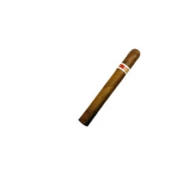 Charuto com Defeito - Romeu Y JulietaMille Fleur