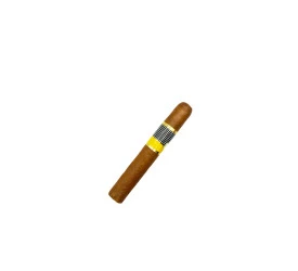 Charuto com Defeito -  Cohiba Siglo I