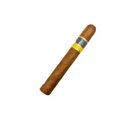 Charuto com Defeito -  Cohiba Siglo VI