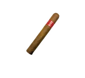 Charuto com Defeito  - Partagas E2