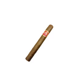 Charuto com Defeito  - Partagas Mille Fleur