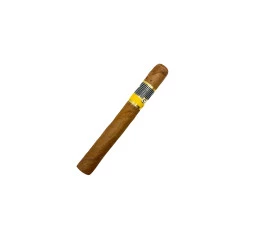 Charuto com Defeito  - Cohiba Siglo II