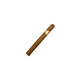 Charuto com Defeito - Partagas Mille Fleur