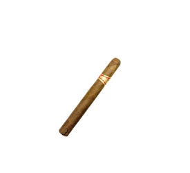 Charuto com Defeito - Partagas Mille Fleur