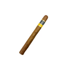 Charuto com Defeito  - Cohiba Siglo VI