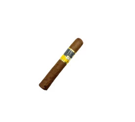 Charuto com Defeito - Cohiba Siglo I