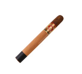 Charuto Arturo Fuente 858 Flor Fina Natural Sungrown - Unidade