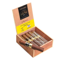 Charuto Leite & Alves Robusto Arapiraca - Caixa com 12