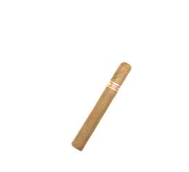 Charuto com Defeito - Partagas Mille Fleur