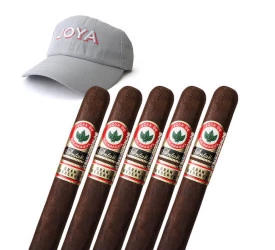 Kit 5 Charuto Antaño Gran Reserva Robusto Grande - Ganhe 1 Boné
