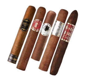 Kit Medium Fillers