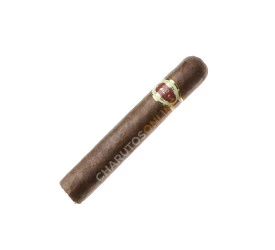 Charuto Le Cigar Robusto - Unidade