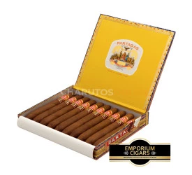 Charuto Partagas Salomones - Caixa com 10