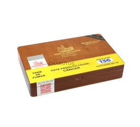 Caixa Vazia - Perceverancia Pirámides Premium Maduro