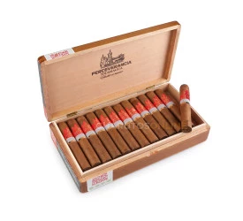 Charuto Perceverancia Premium Robusto - Caixa com 25